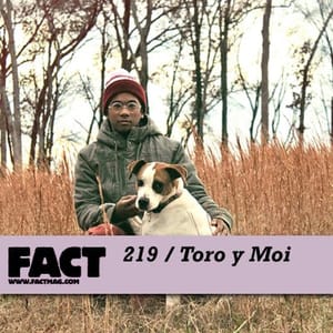 Toro y Moi