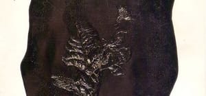 brucegilbert-17032011