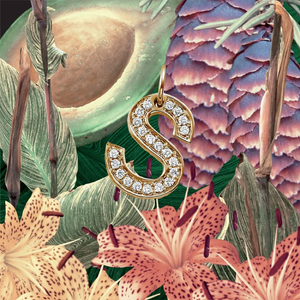 SZA_S_EP_cover