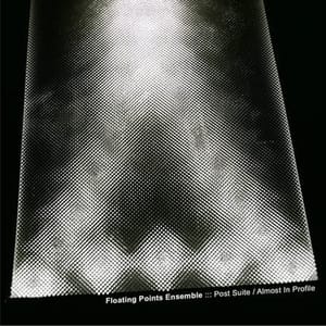 Floating Points Ensemble