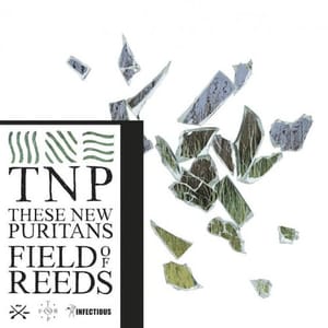 29TNP