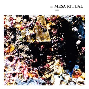 mesaritual2-5.20.2014