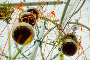 MaxwellSchiano_MoMAPS1WarmUpNYC61