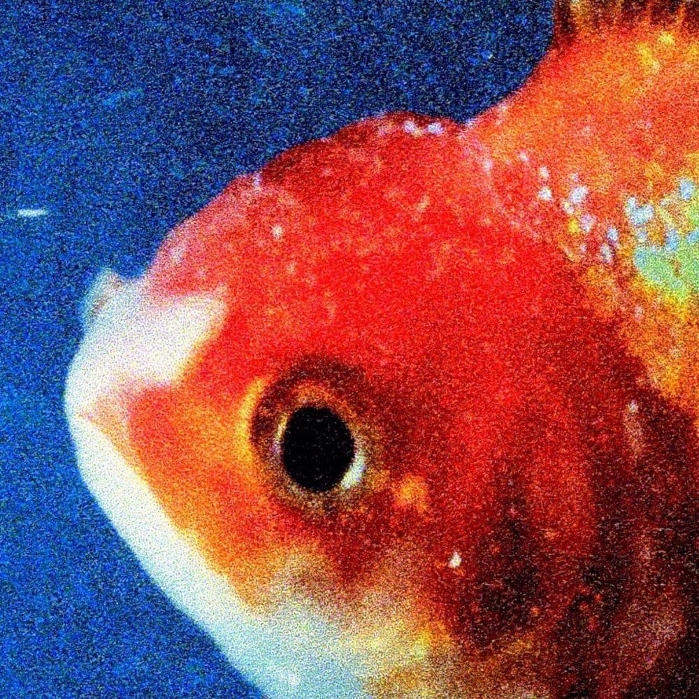 Listen to Vince Staples’ fierce new album Big Fish Theory