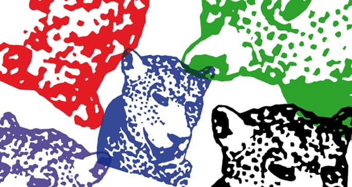 Premiere: Tiger & Woods remix Rex The Dog’s ‘Do You Feel What I Feel’