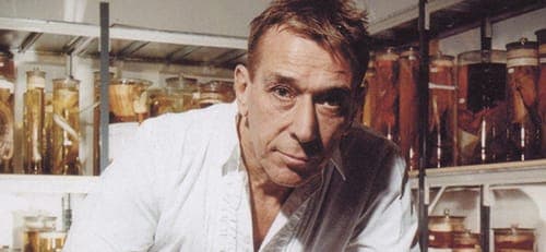 Stream Tim Hecker and Maria Minerva’s contributions to John Cale’s Extra Playful: Transitions
