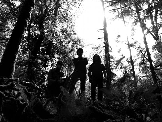 “Detroit techno and black metal have so much in common”: FACT meets Wolves In The Throne Room