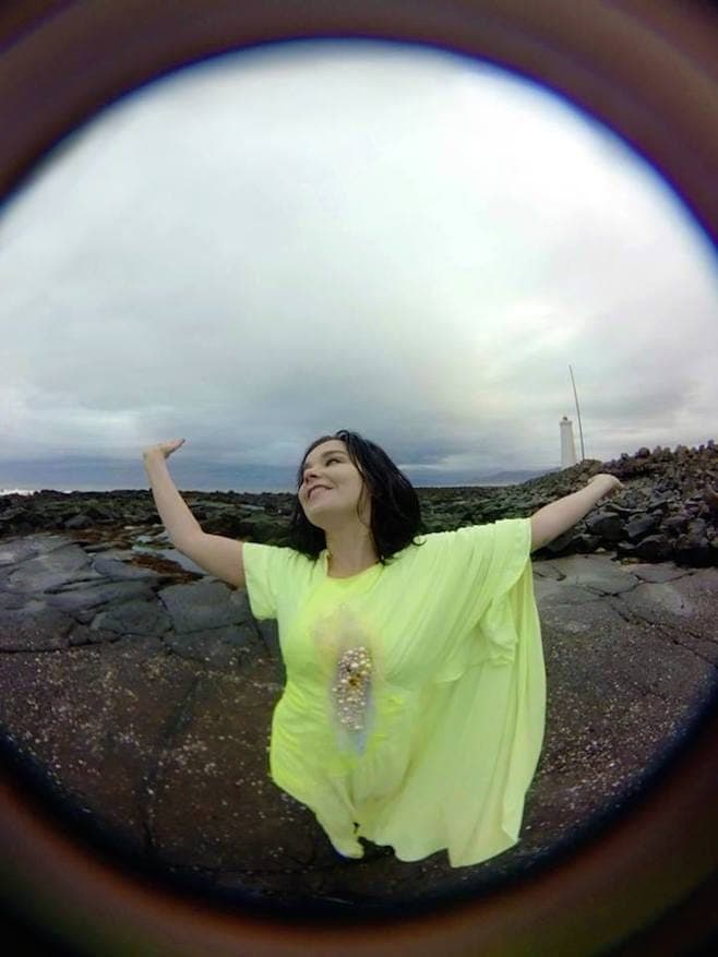 Bjork