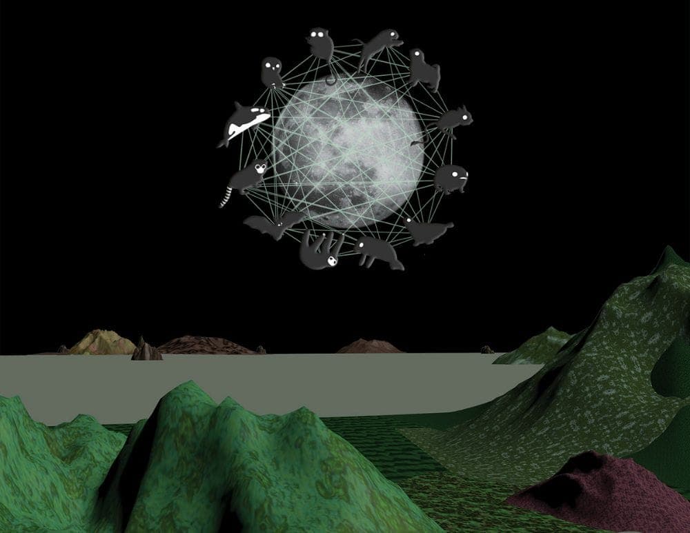 Stream RAMZI's delirious nocturnal journey on 1080p, Houti Kush