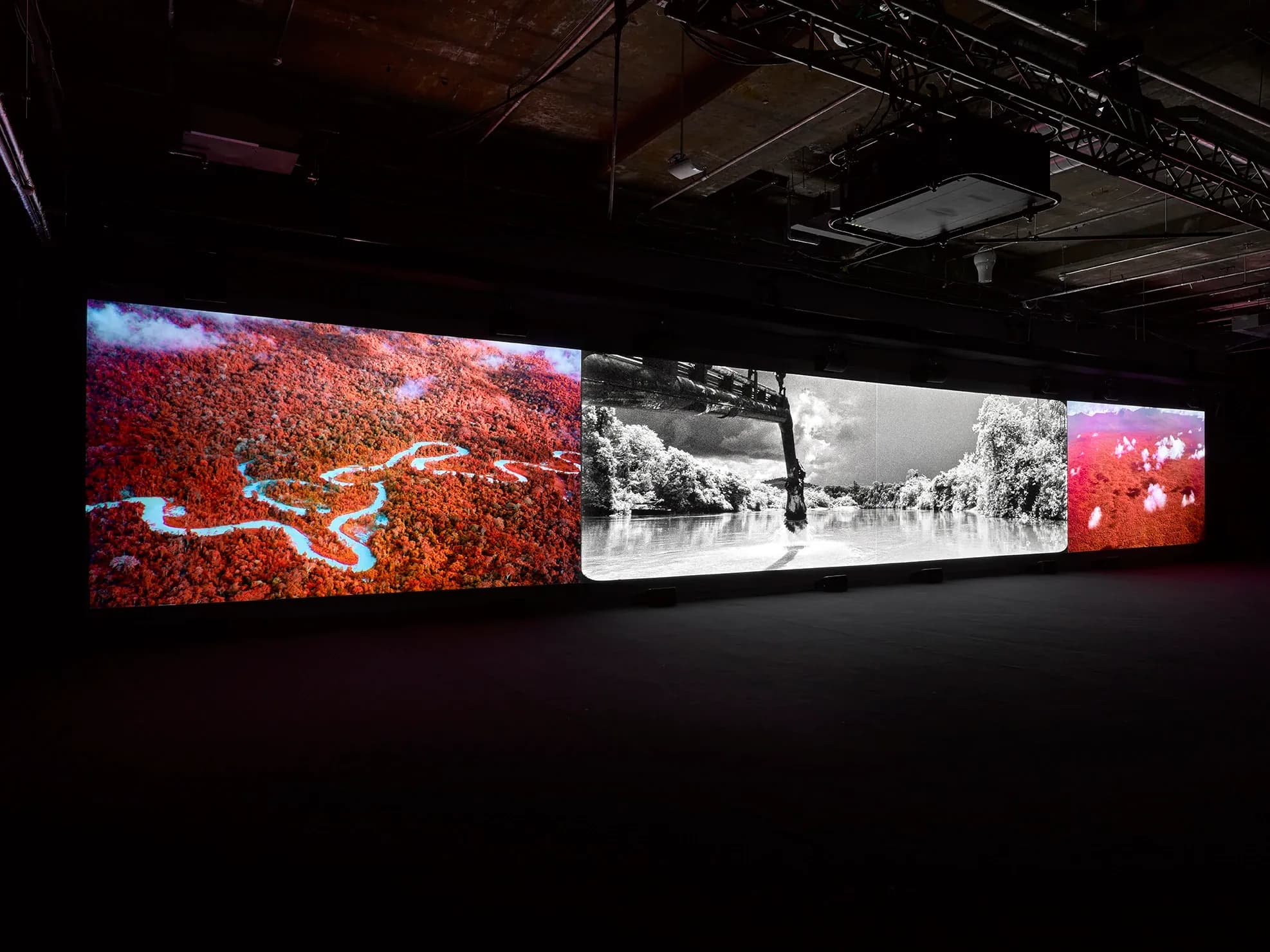 Richard Mosse on the making of Broken Spectre