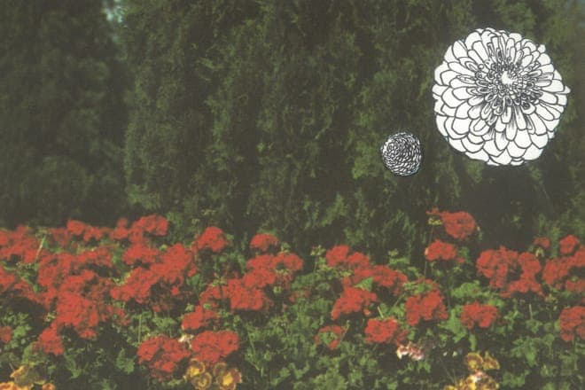 Emeralds' John Elliott returns with Imaginary Softwoods album