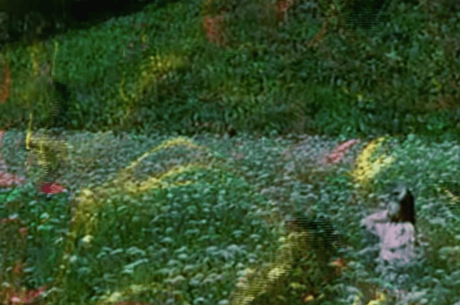 Nmesh and t e l e p a t h テレパシー能力者 travel The Path To Lost Eden on split album