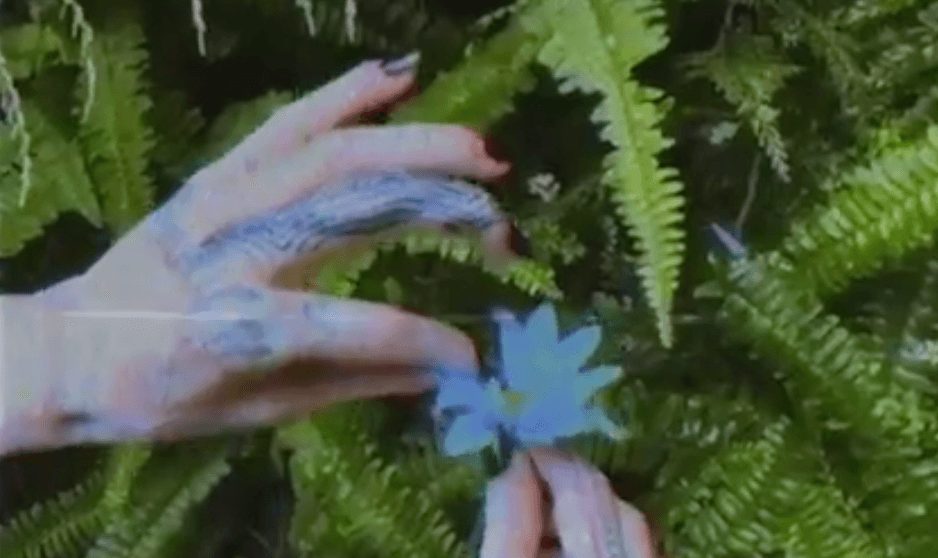 Grimes recreates famous 1964 political ad for Hillary Clinton campaign video