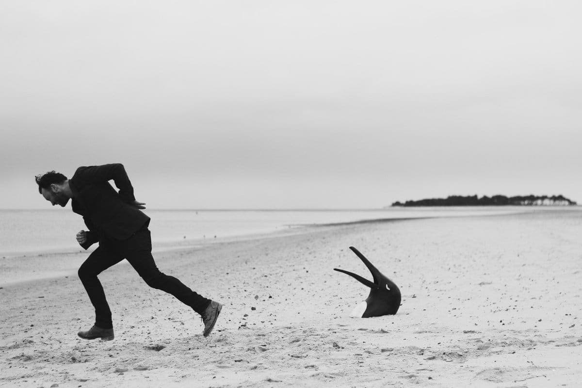 Penguin Cafe to release new album The Imperfect Sea