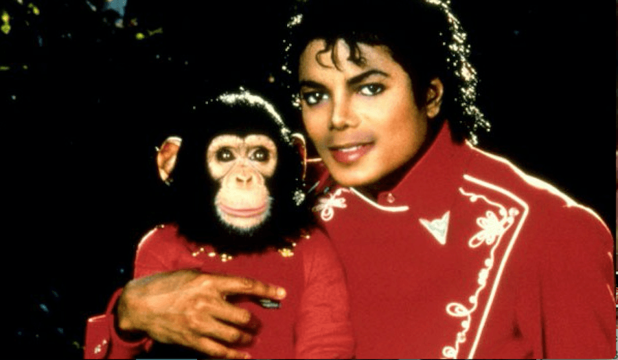 Biopic about Michael Jackson's chimpanzee tops Blacklist screenplay survey