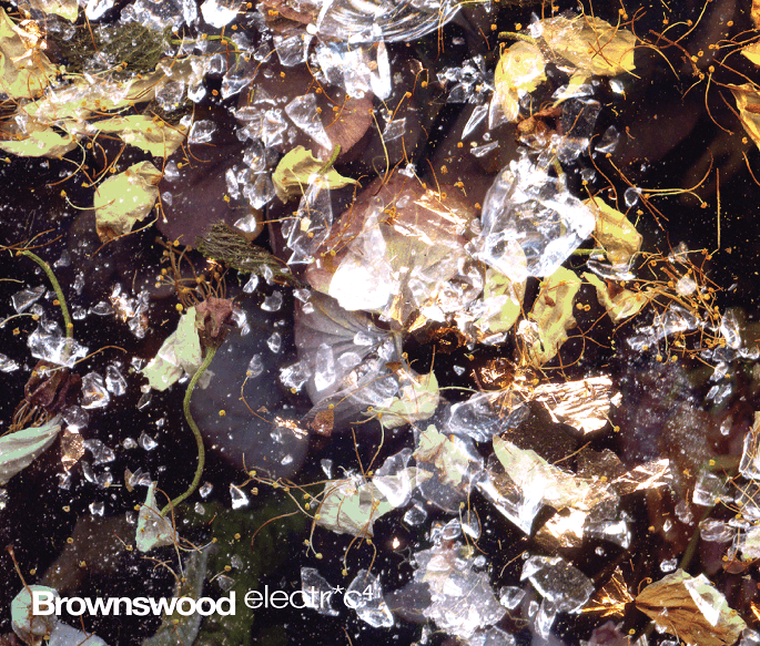 Gilles Peterson’s Brownswood announce electr*c 4 compilation; stream a track here