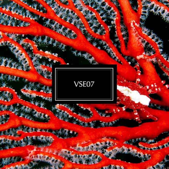 Jacque Greene announces new Vase compilation EP, streams 'Faded'
