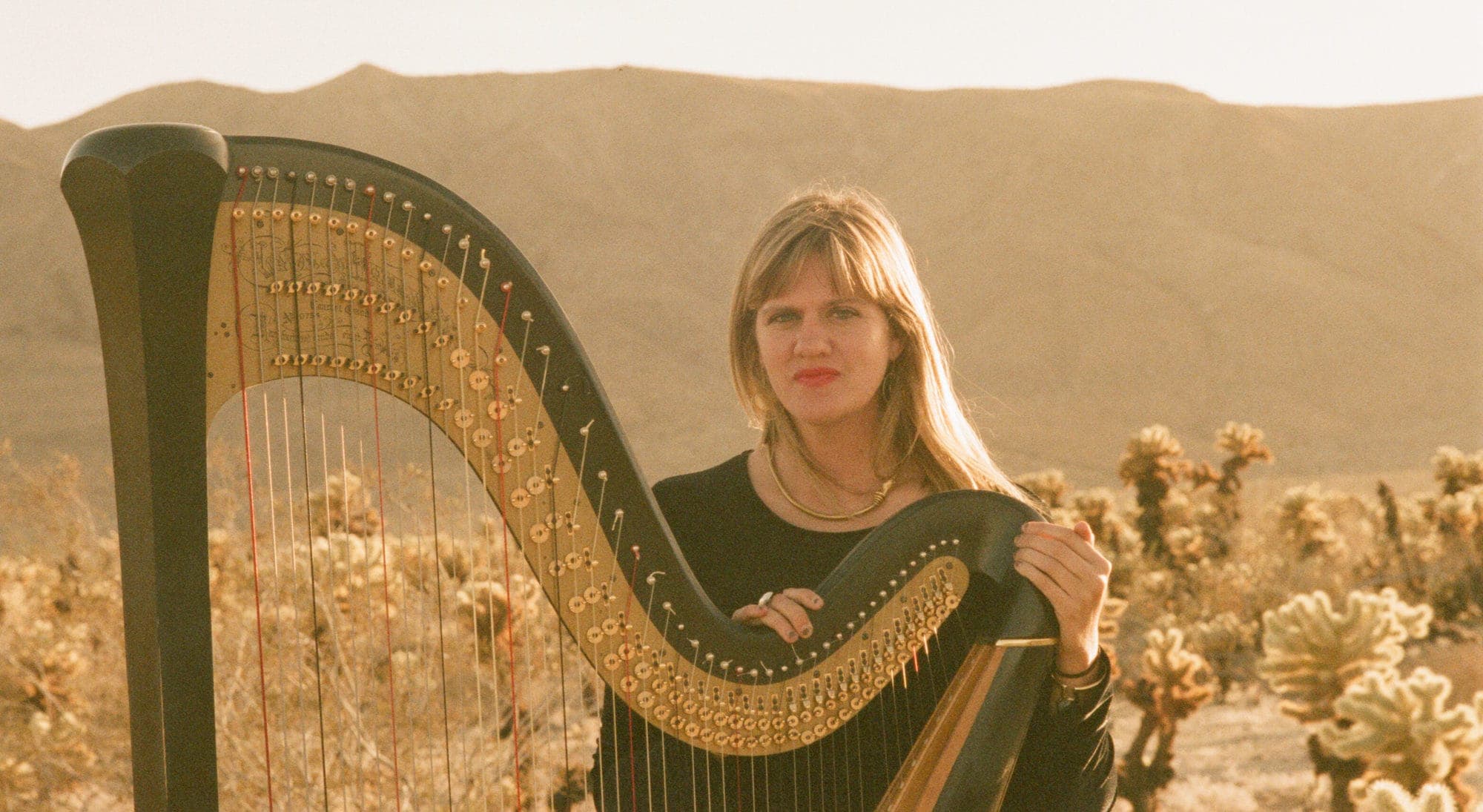 Portrait of Mary Lattimore