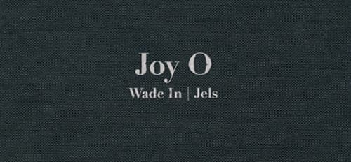 Joy Orbison becomes Joy O