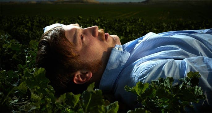 Listen to the title track from The Field’s Cupid’s Head