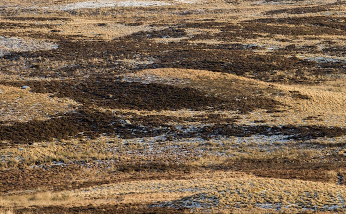 Demdike Stare recover more previously unheard Orior recordings for their DDS label