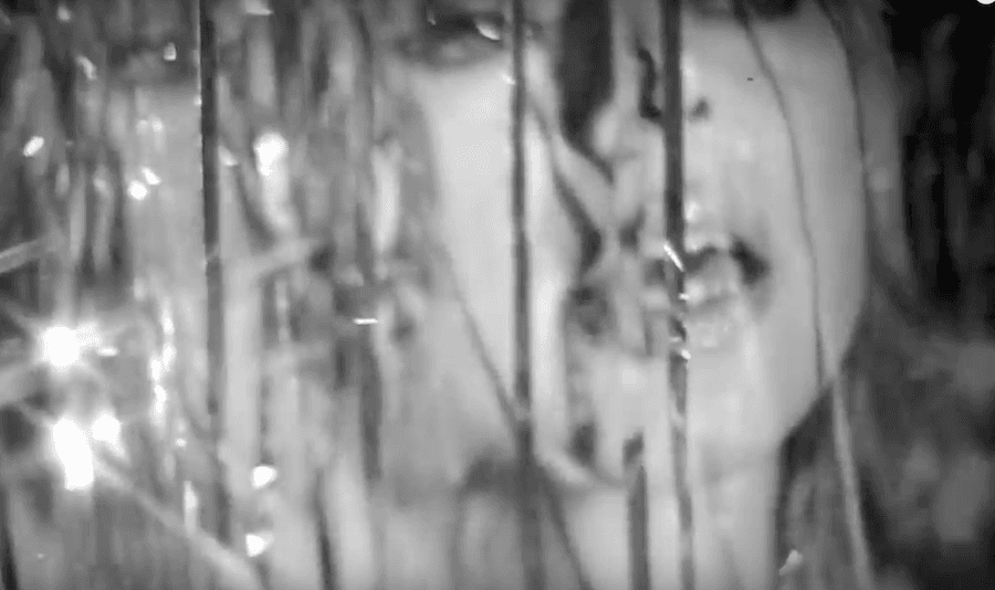 Chromatics glisten in video for 'I Can Never Be Myself When You're Around'