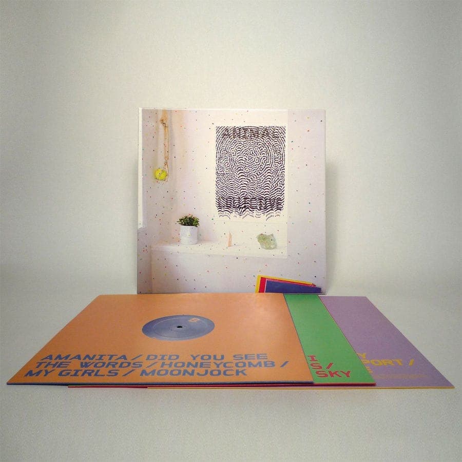 Animal Collective announce triple-vinyl Live at 9:30 boxset