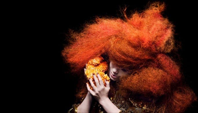 Björk's Kickstarter cancelled after reaching just 4% of goal