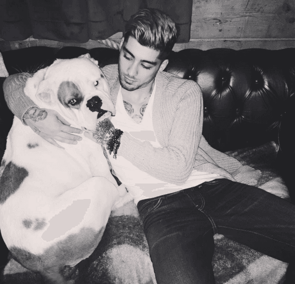 Lil Wayne teams with Zayn Malik on ‘Pillow Talk’ remix