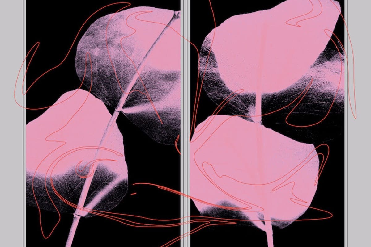 Lifted ensemble return to PAN for second album, 2