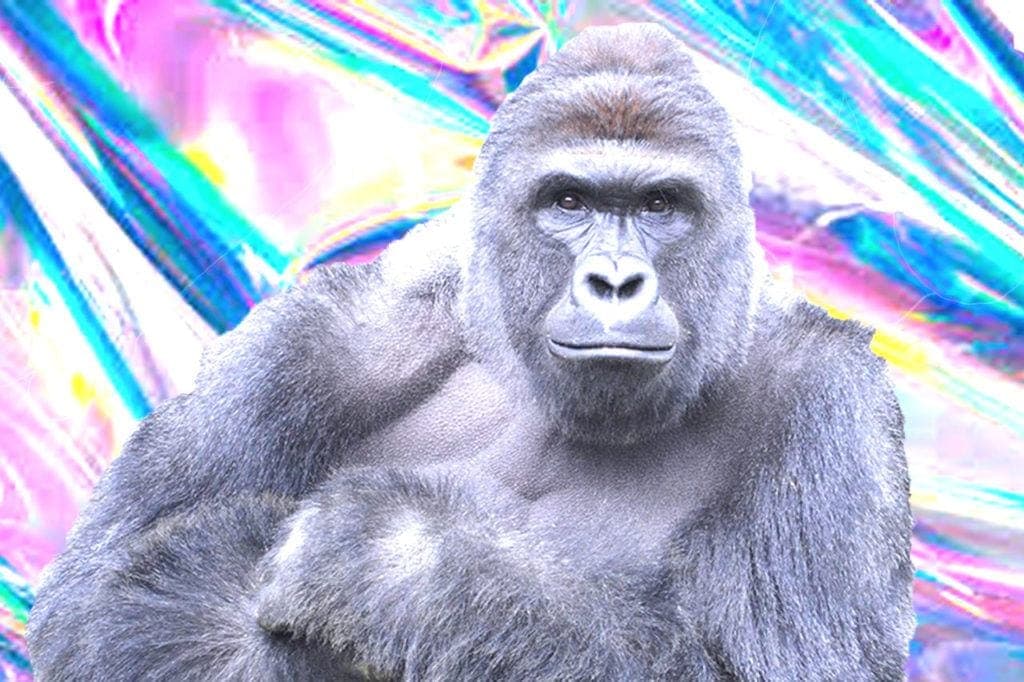 Harambe hologram to appear alongside Aphex Twin, Run the Jewels at Day For Night Festival [Updated]