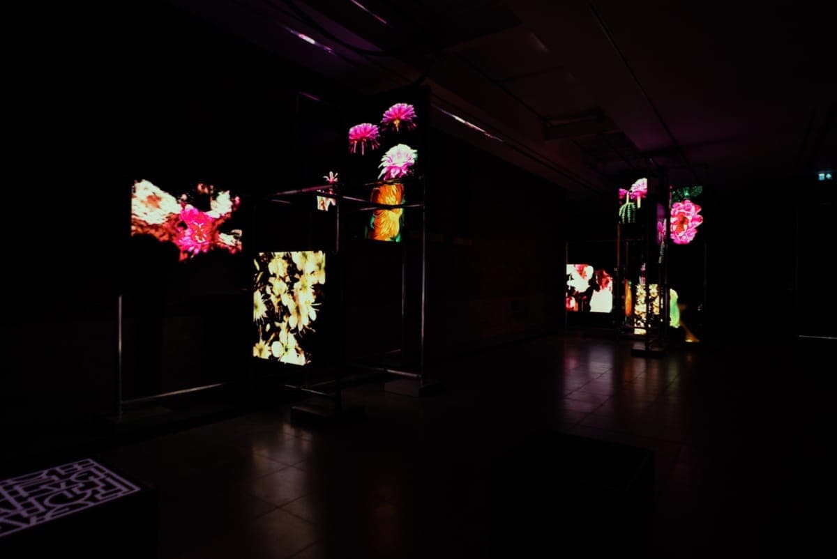 Hito Steyerl opens Power Plants show with limited 12″ featuring Kojey Radical and Susumu Yokota