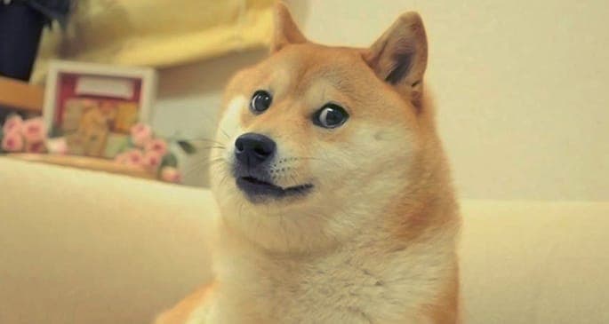 There’s now a DOGE record label. Wow.