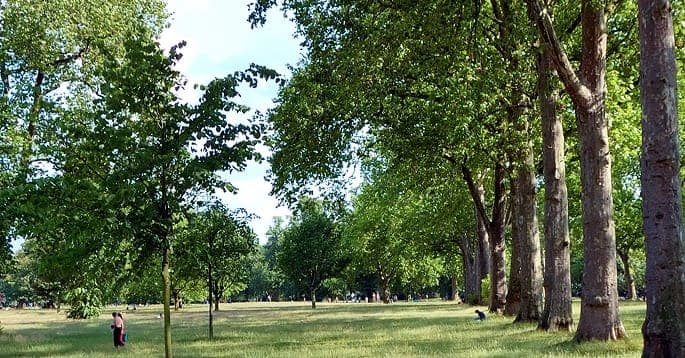 Live Nation pull out of future shows in London’s Hyde Park