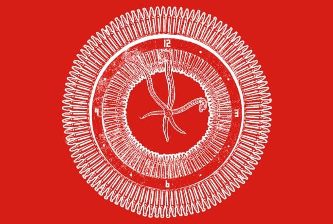 Mysterious Ninja Tune-related project teased with ‘At War With the Body, At War With Time’