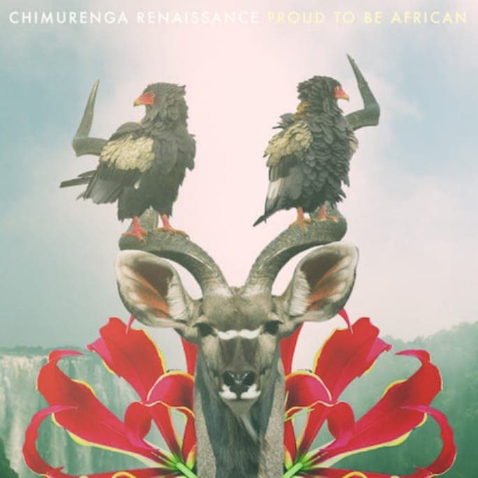 Shabazz Palaces’ Tendai Maraire announces album as Chimurenga Renaissance – hear ‘The B.A.D. Is So Good’