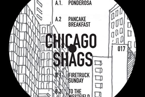 Legowelt’s Chicago Shags project invite you to flick through their Family Album EP
