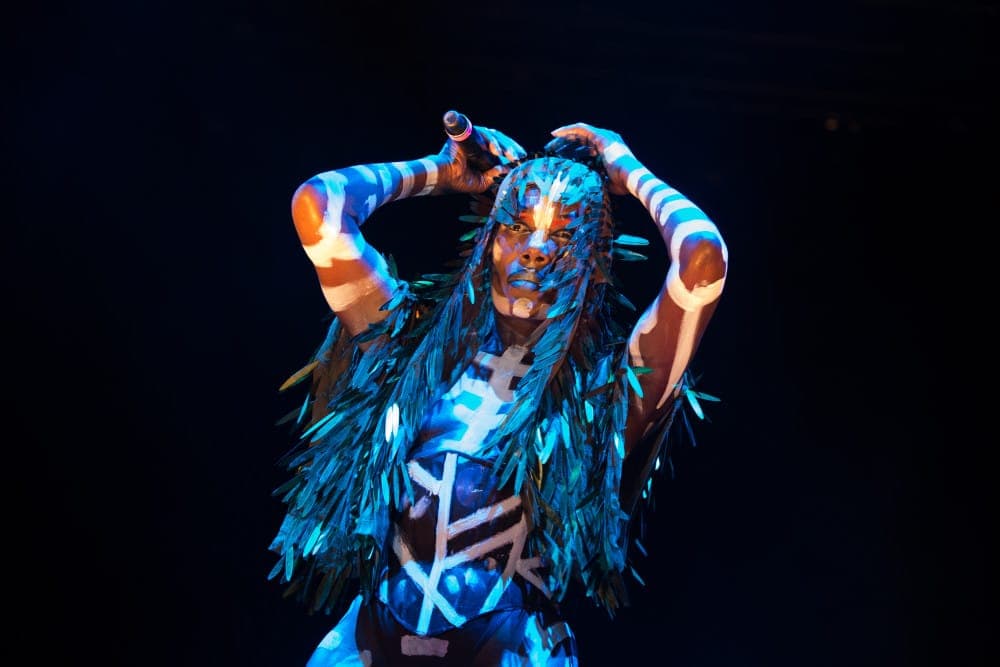 Photos: Grace Jones, Lauryn Hill, Death Grips, Thundercat and more play New York’s Afropunk Festival