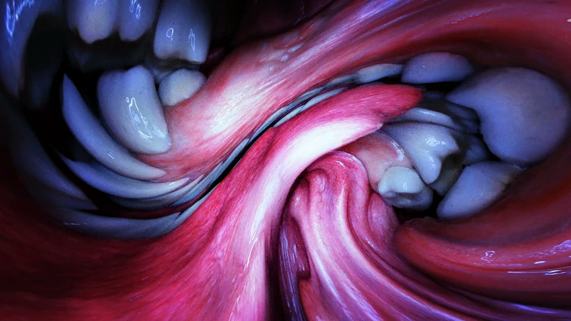The Week's Best Videos: Oral exploration, baby talk and a relationship in free fall