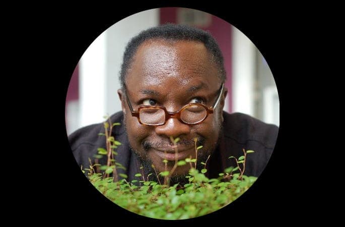 The Essential… Mad Professor
