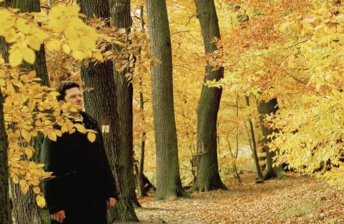 On Record: Pole applauds the powerful economy of Lou Reed's The Bells