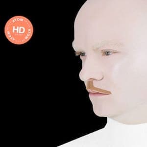 FACT review of Atom™ - HD