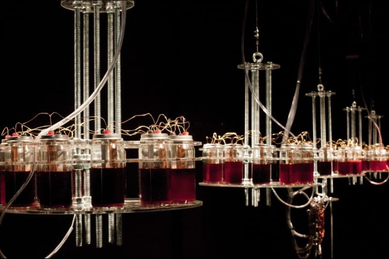 This terrifying synth is powered by human blood