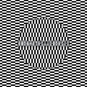 Carter Tutti Void: Transverse