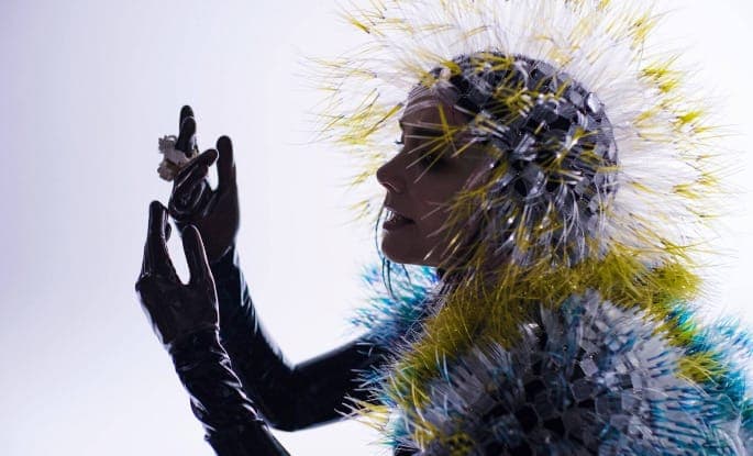 Bjork - Leaks feature
