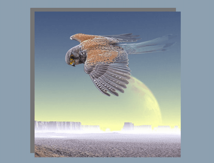Listen to Scientific Dreamz Of U's cosmic single from his falcon-inspired split-LP on 1080p