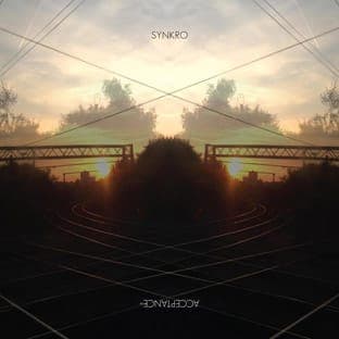 Synkro - Acceptance - FACT review