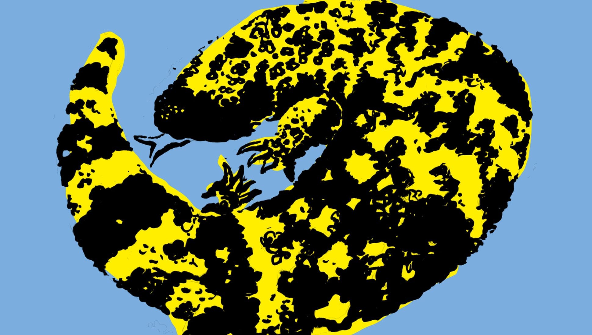 GILA FACT mix