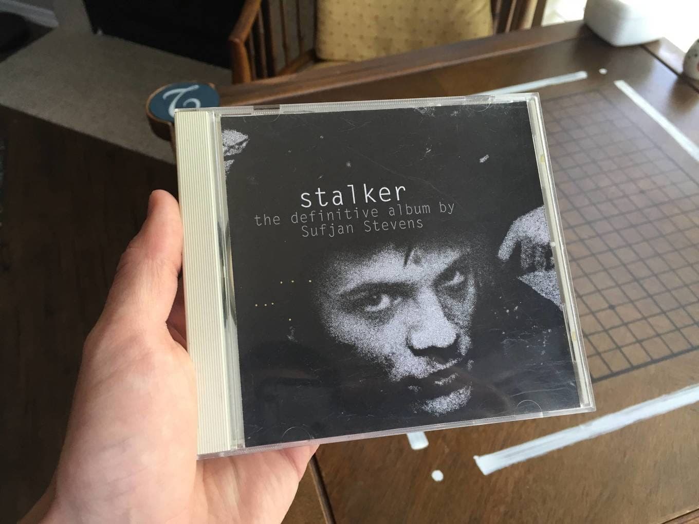 Unreleased Sufjan Stevens album found in dumpster in Brooklyn