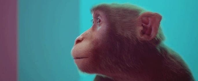 This film explains synesthesia with the help of Steve Reich and a CGI Monkey